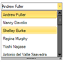 VIBlend ListBox, CheckedListBox and ComboBox